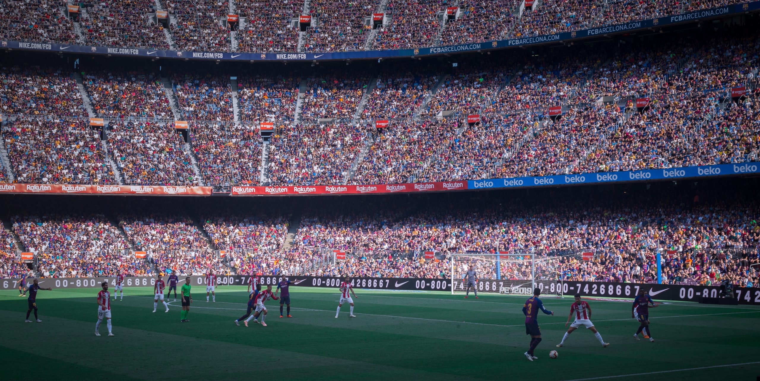 RFEF approves environmental and sustainability strategy