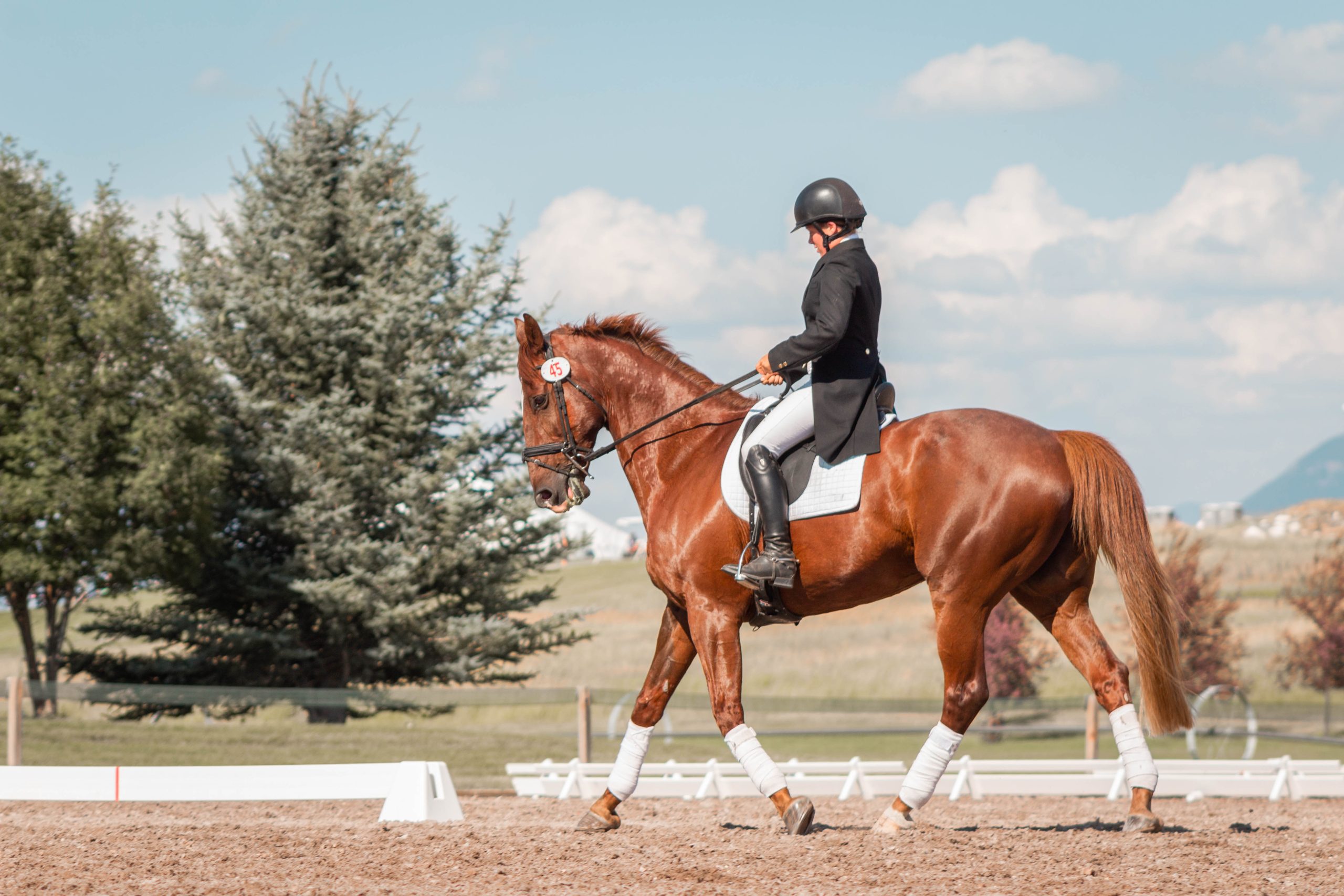 Wellington International’s Winter Equestrian Festival hydrates with new partnership
