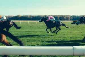 Jockey Club to assess environmental impact of venues with latest collaboration