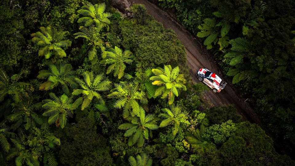 World Rally Championship launches sustainable roadmap