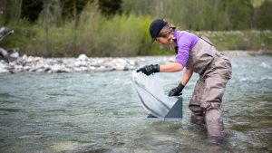 Documentary project highlights importance of the world’s glaciers