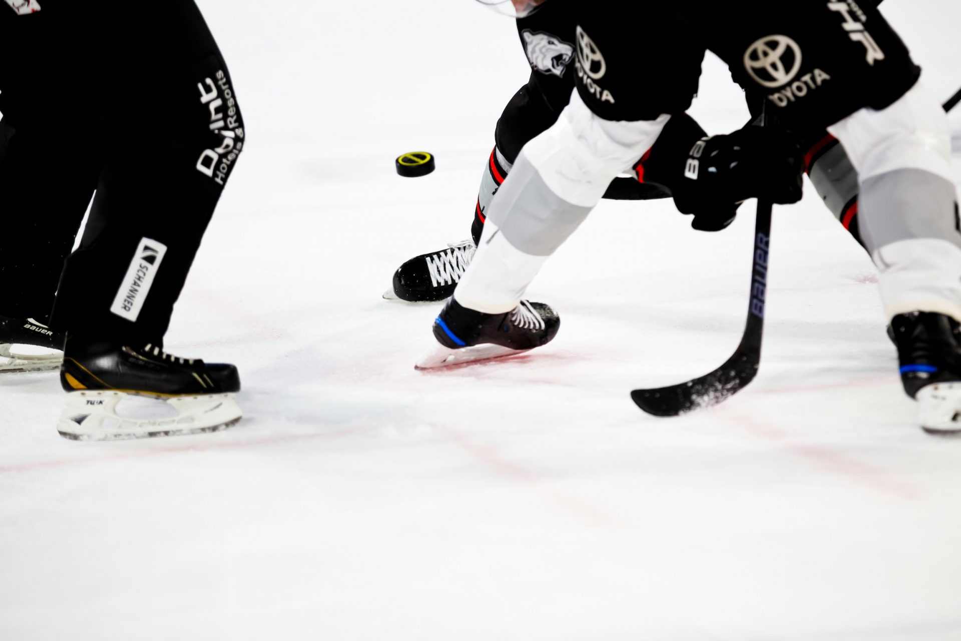 IIHF reveals progress on updated sustainability agenda