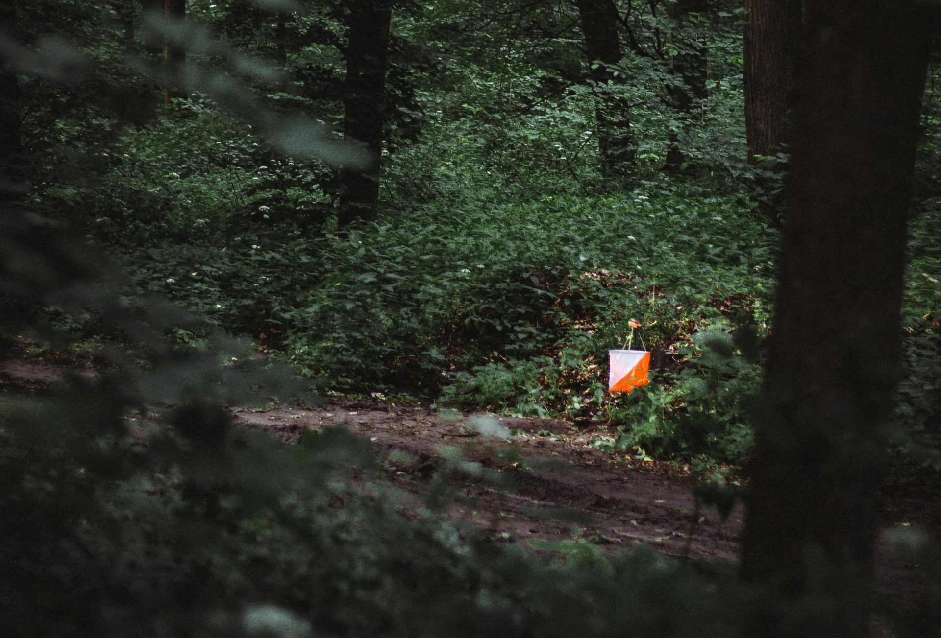 International Orienteering Federation publishes Climate Transition Plan