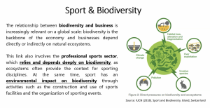 Taking Nature Seriously: How World Sailing’s BENCHES Project is Steering Sport Towards Biodiversity Action