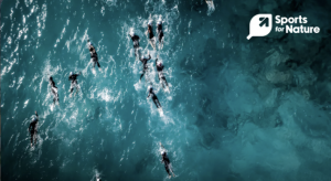 Sports for Nature Launches Landmark Online Education Course to Drive Biodiversity Action