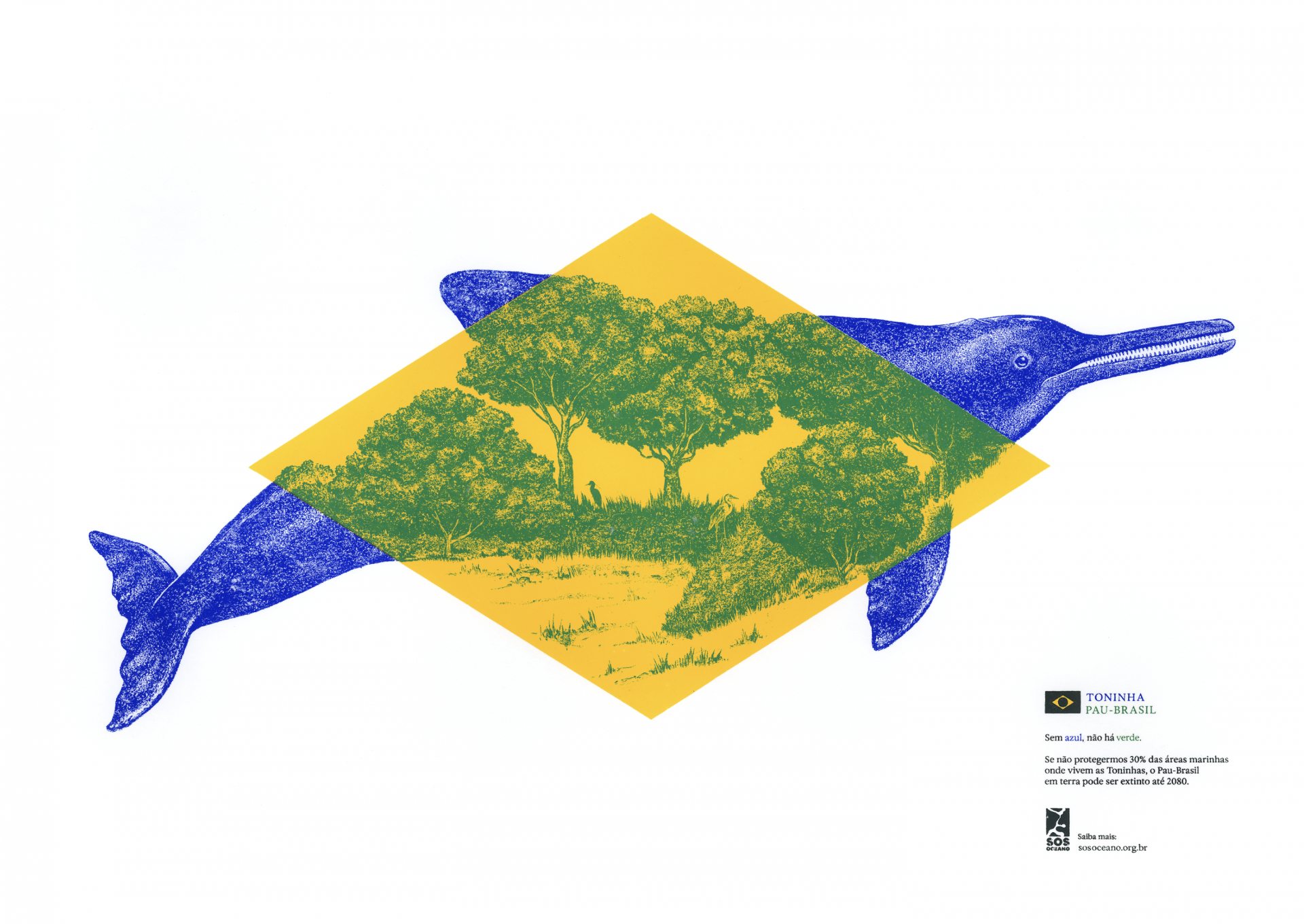 Turning the Tide: Creative Activism Drives Brazil’s Largest Marine National Park